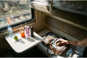 Как выбрать дорожный ирригатор 